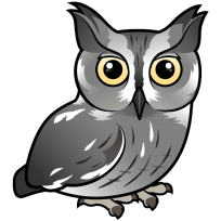 Western Screech-Owl