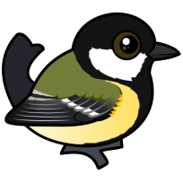 Great Tit