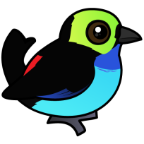 Paradise Tanager