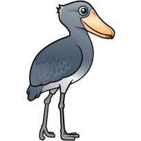 Shoebill