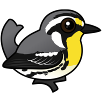 Yellow-throated Warbler