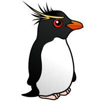 Rockhopper Penguin