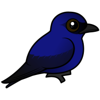 Purple Martin