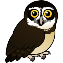 Spectacled Owl