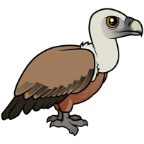 Eurasian Griffon