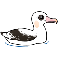 Wandering Albatross