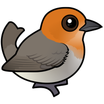 Brown-flanked Tanager