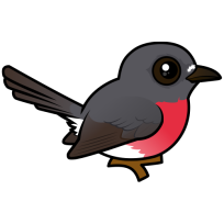 Rose Robin
