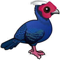 Vietnam Pheasant