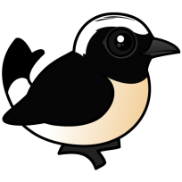 Cyprus Wheatear