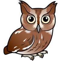 Eastern Screech-Owl