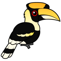 Great Hornbill