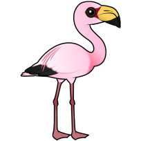 James's Flamingo