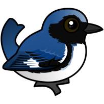 Black-throated Blue Warbler