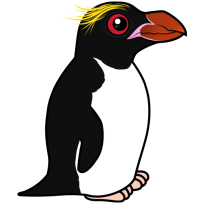 Macaroni Penguin