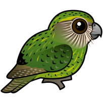 Kakapo
