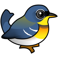Northern Parula