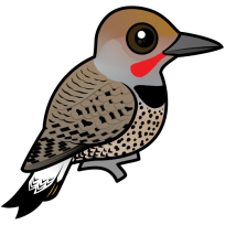 Gilded Flicker