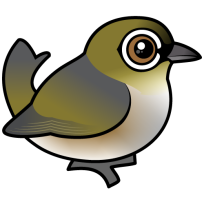 Silvereye