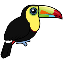 Keel-billed Toucan