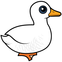 Pekin Duck
