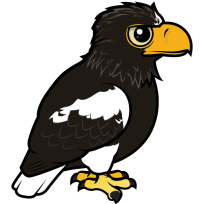 Steller's Sea Eagle