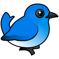 Mountain Bluebird