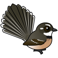 Grey Fantail