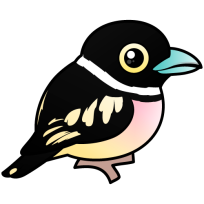Black-and-yellow Broadbill