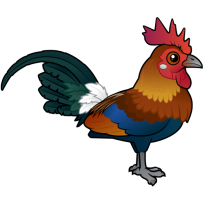 Red Junglefowl
