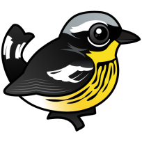 Magnolia Warbler