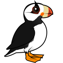 Horned Puffin