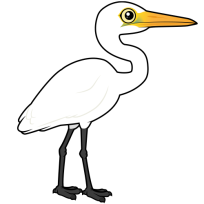 Great Egret