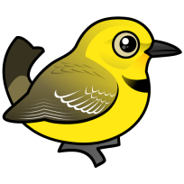Yellow Chat