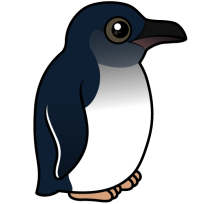Little Penguin