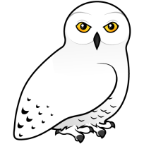 Snowy Owl