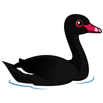 Black Swan
