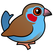Red-cheeked Cordonbleu