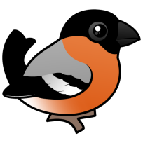Eurasian Bullfinch