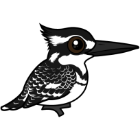 Pied Kingfisher