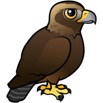Golden Eagle