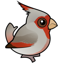 Pyrrhuloxia