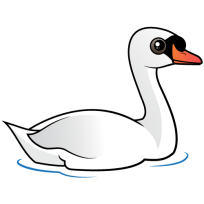 Mute Swan