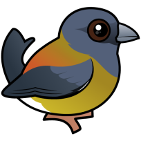 Patagonian Sierra-Finch