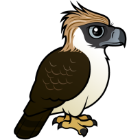 Philippine Eagle