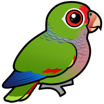 Vinaceous Parrot