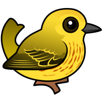 Yellow Warbler