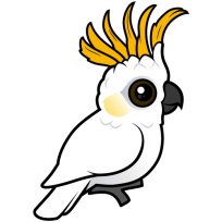 Yellow-crested Cockatoo