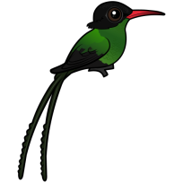 Red-billed Streamertail