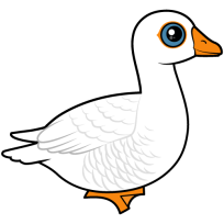Embden Goose